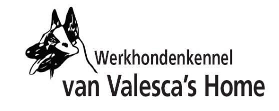 WERKHONDENKENNEL VAN VALESCA'S HOME