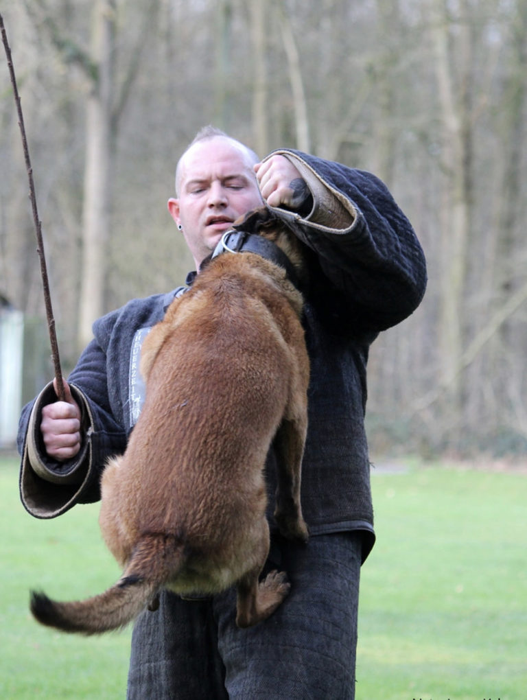 Jay van Valesca’s Home WERKHONDENKENNEL VAN VALESCA'S HOME